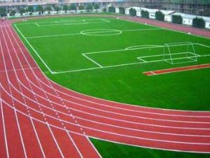 點(diǎn)擊查看詳細(xì)信息<br>標(biāo)題：學(xué)校塑膠跑道 閱讀次數(shù)：7654