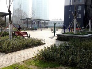 點擊查看詳細信息<br>標題：濰坊虞河生活城1 閱讀次數：11500